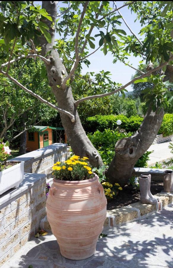 Favoloso Appartamento In Villa Monterosi Exterior foto